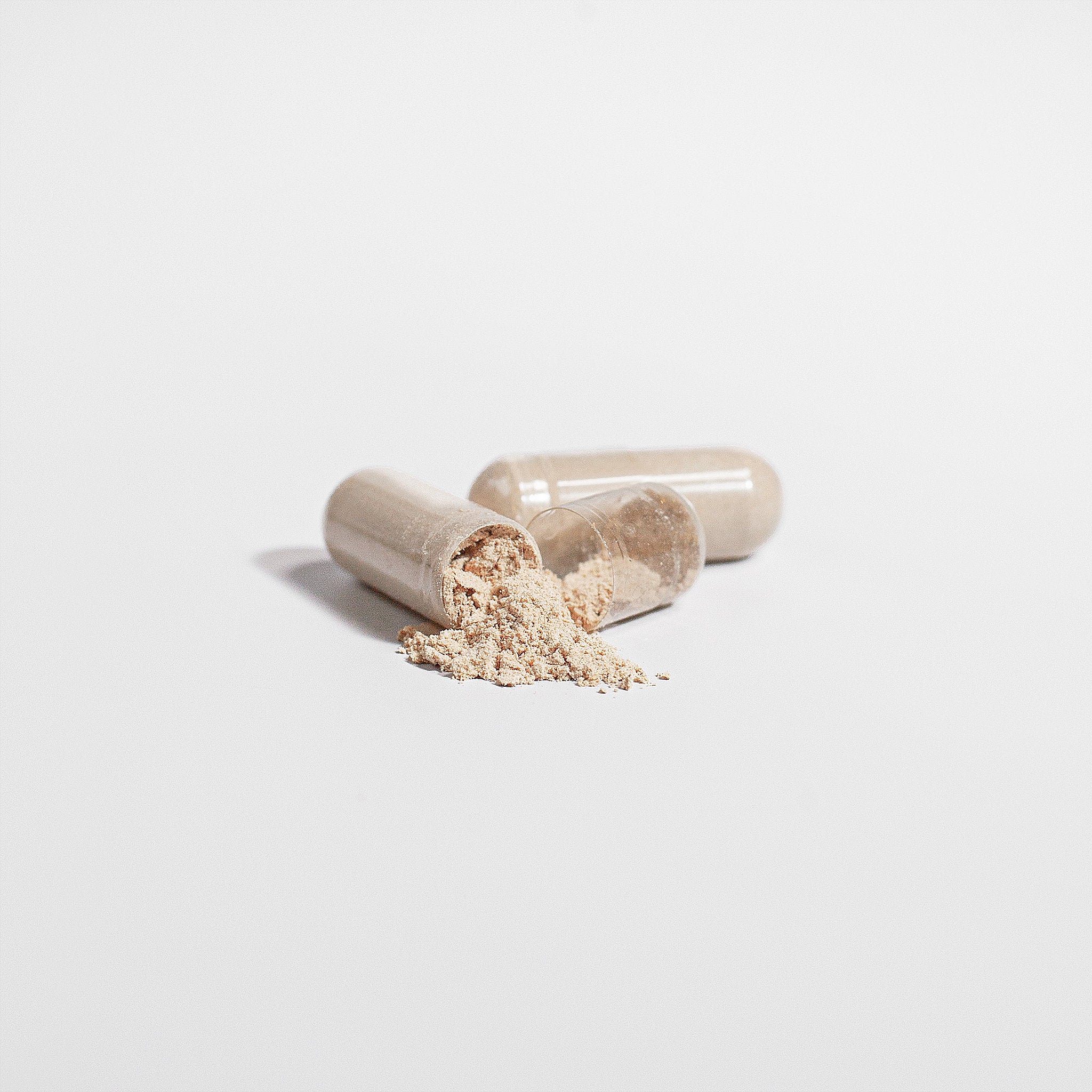 Champignon crinière de lion (Focus boost)