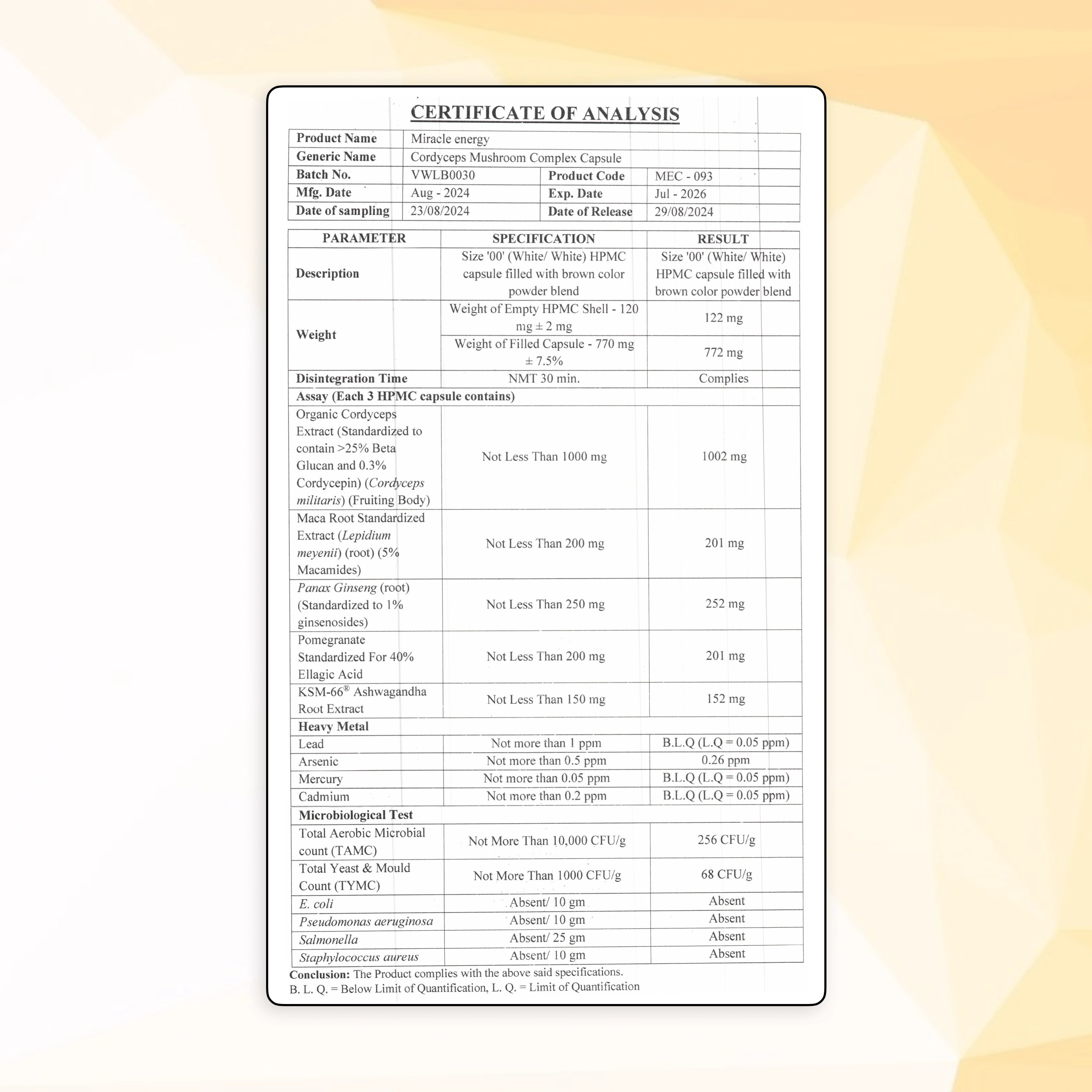 Miracle Energy (Cordyceps für Energie)