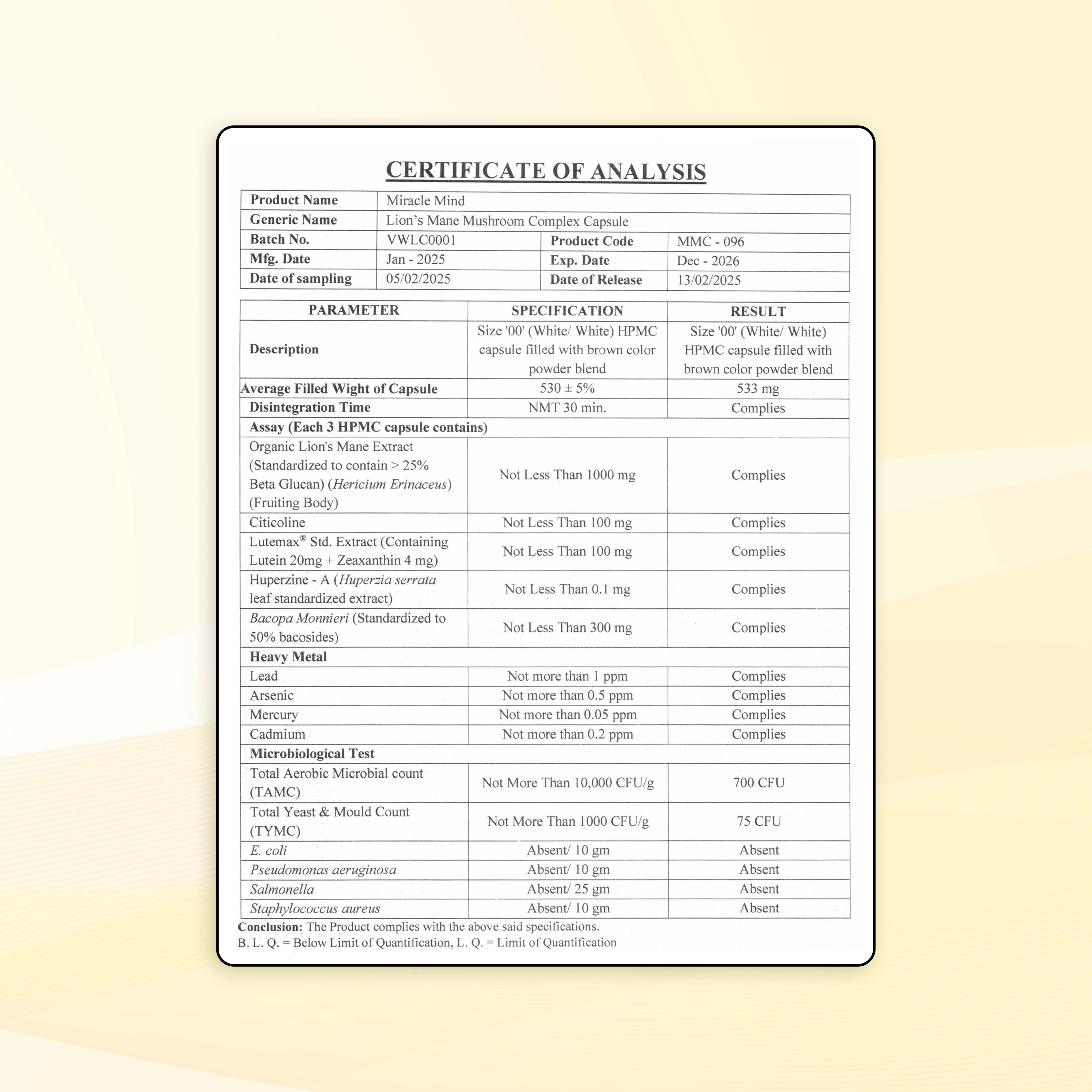 Miracle Mind (Lion’s Mane für kognitive Unterstützung)