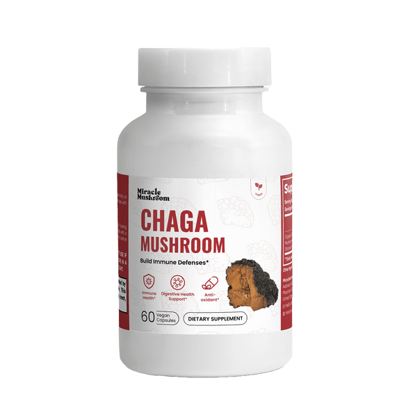 Chaga Mushroom