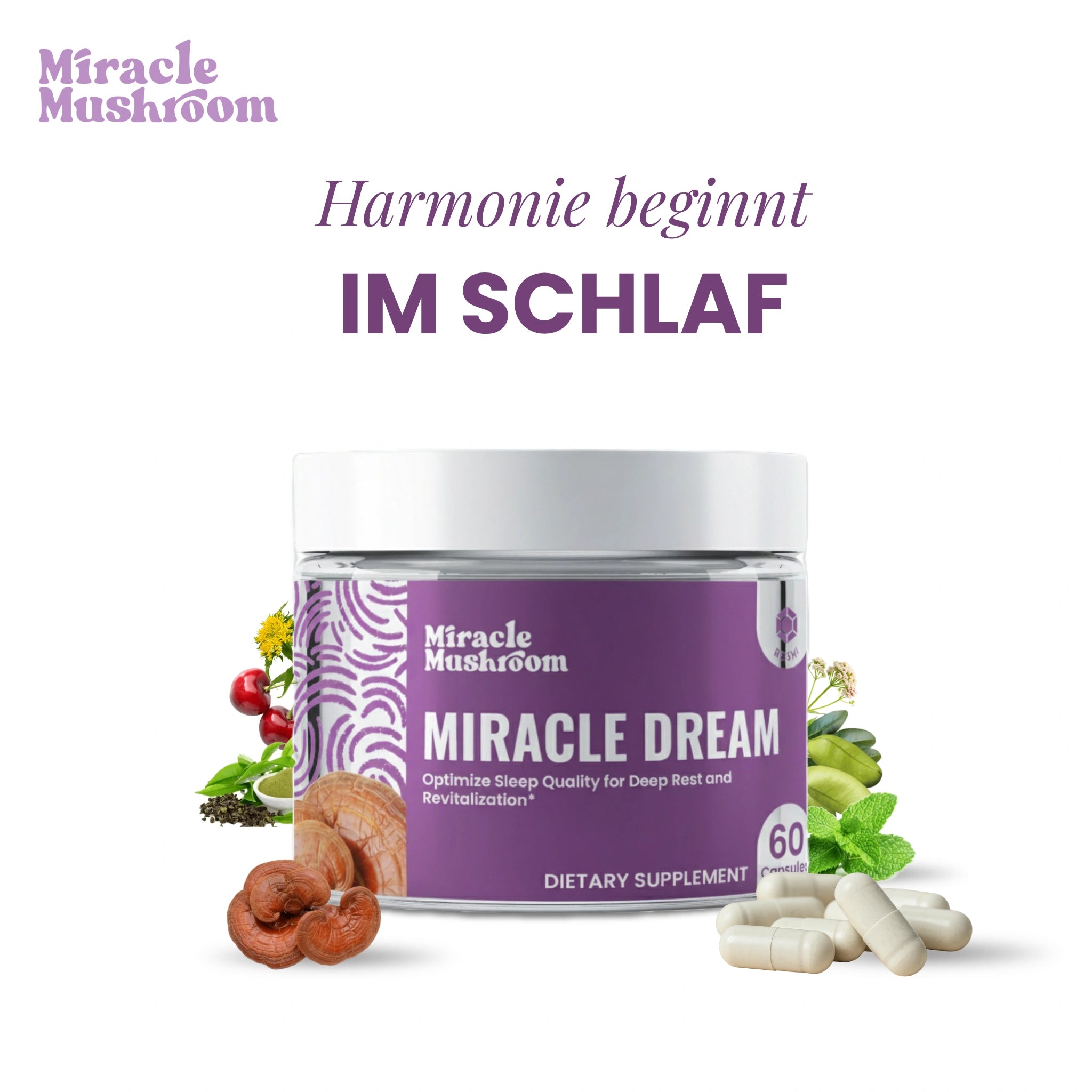 Miracle Dream (Reishi für tiefen, ruhigen Schlaf)
