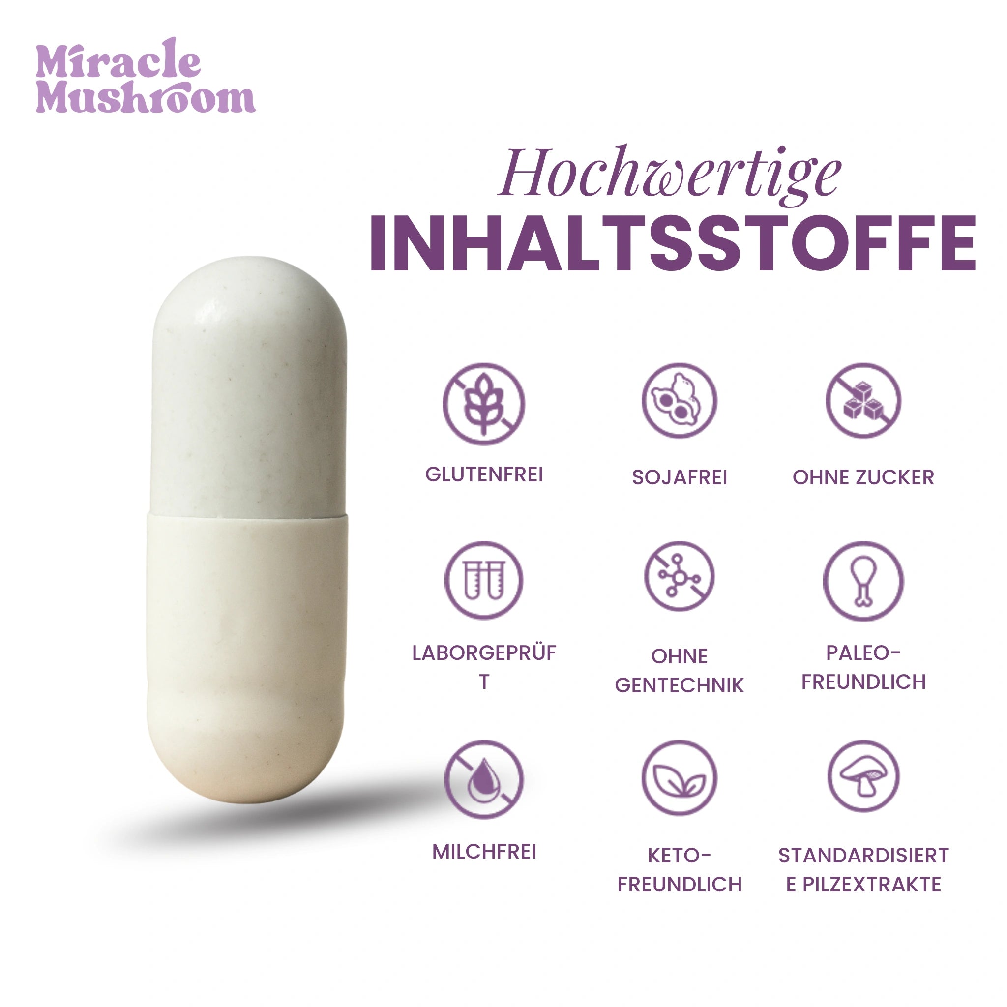 Miracle Dream (Reishi für tiefen, ruhigen Schlaf)