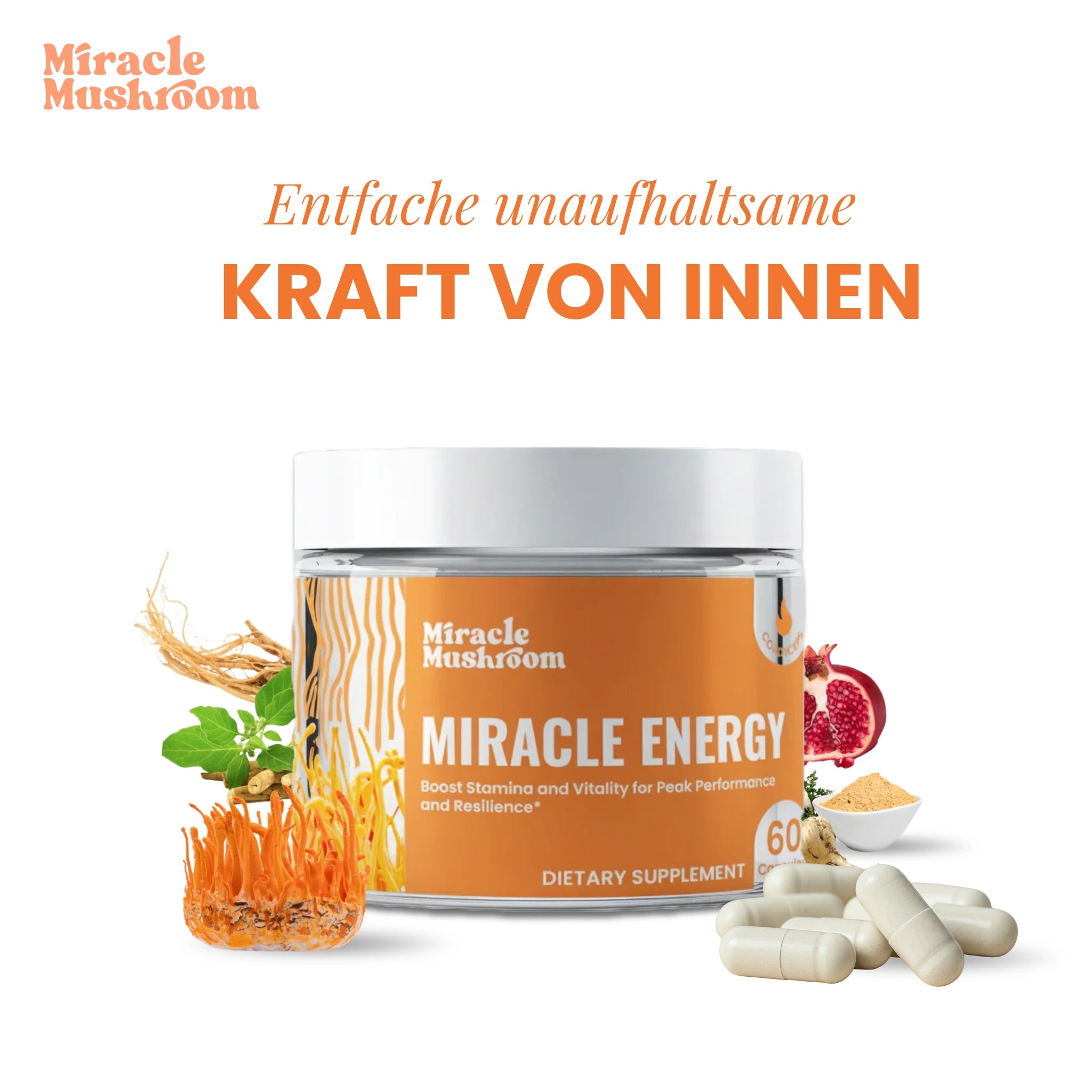 Miracle Energy (Cordyceps für Energie)