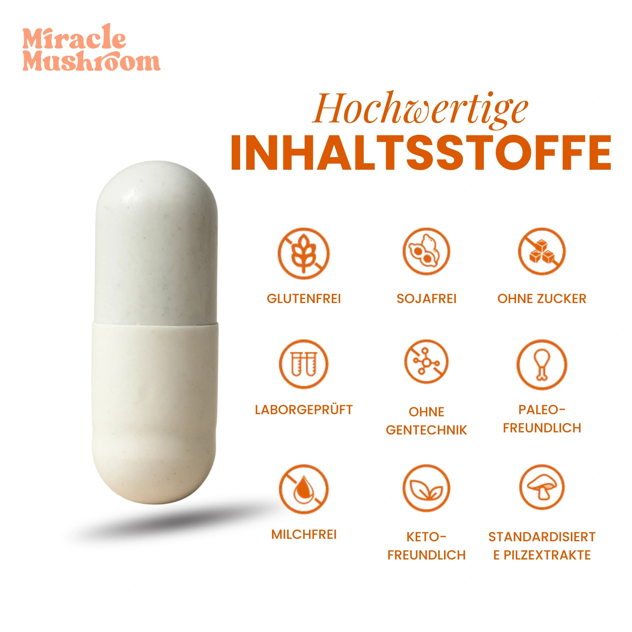 Miracle Energy (Cordyceps für Energie)