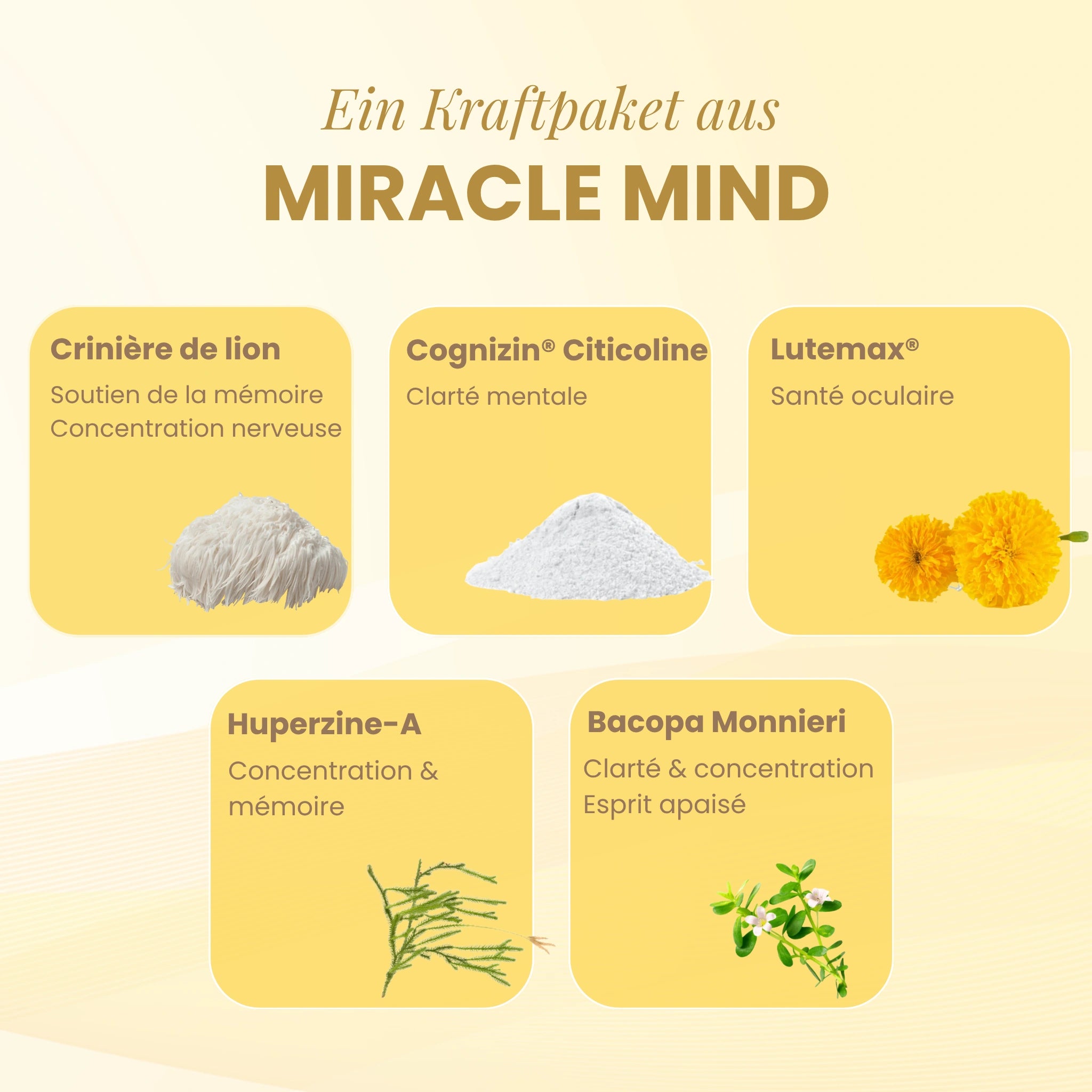 Miracle Mind (Lion’s Mane für kognitive Unterstützung)