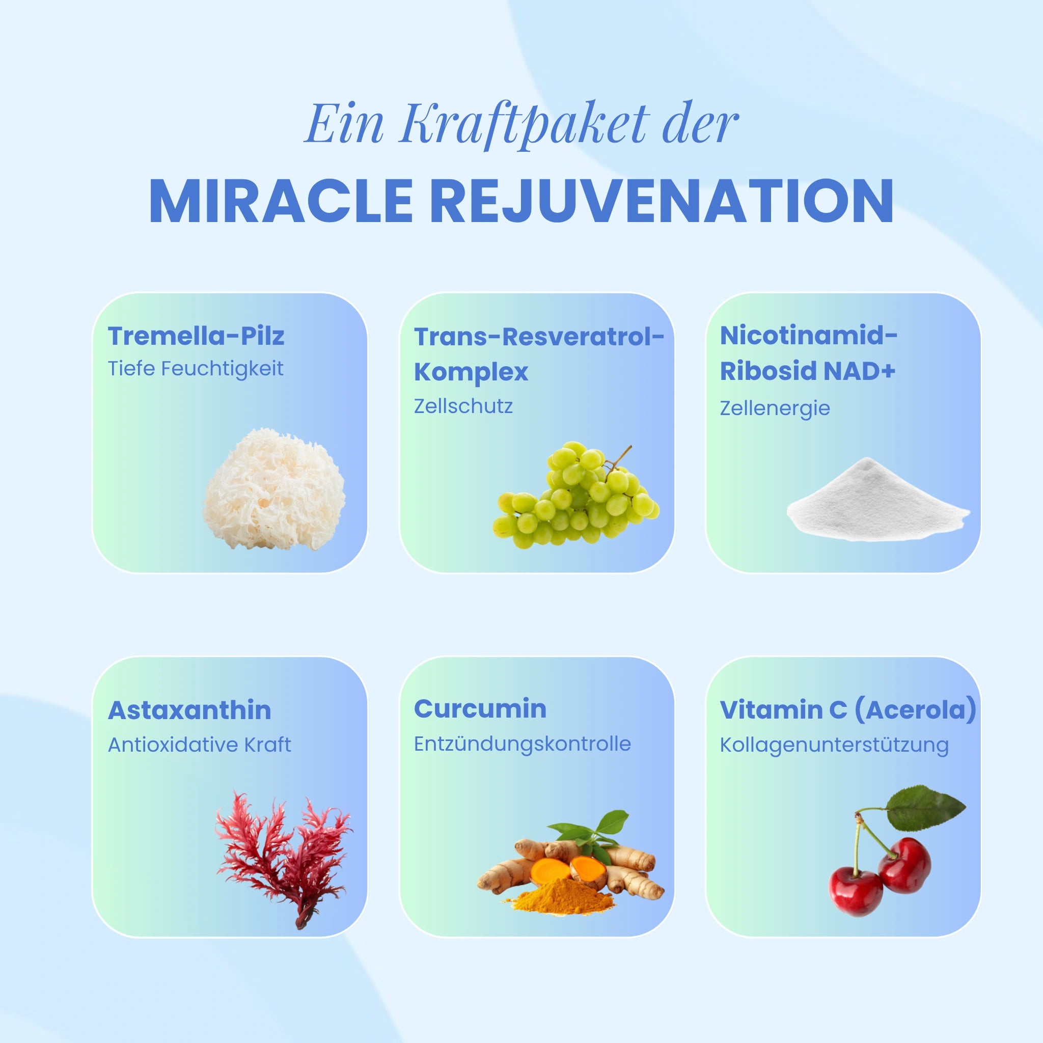 Miracle Rejuvenation (Tremella für Hautfeuchtigkeit)