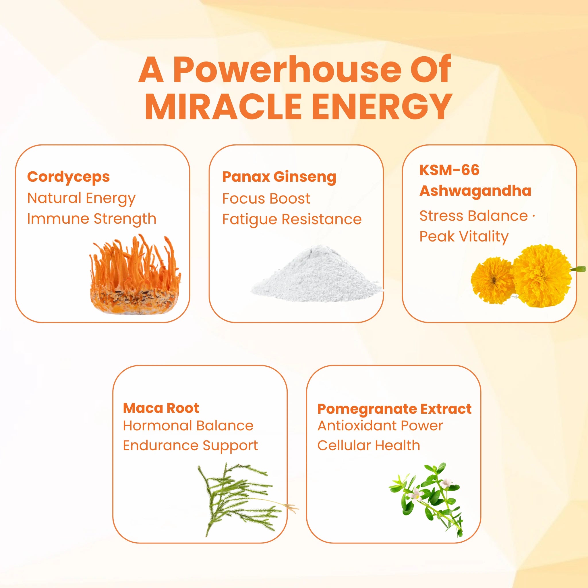 Miracle Energy (Cordyceps for Natural Stamina)