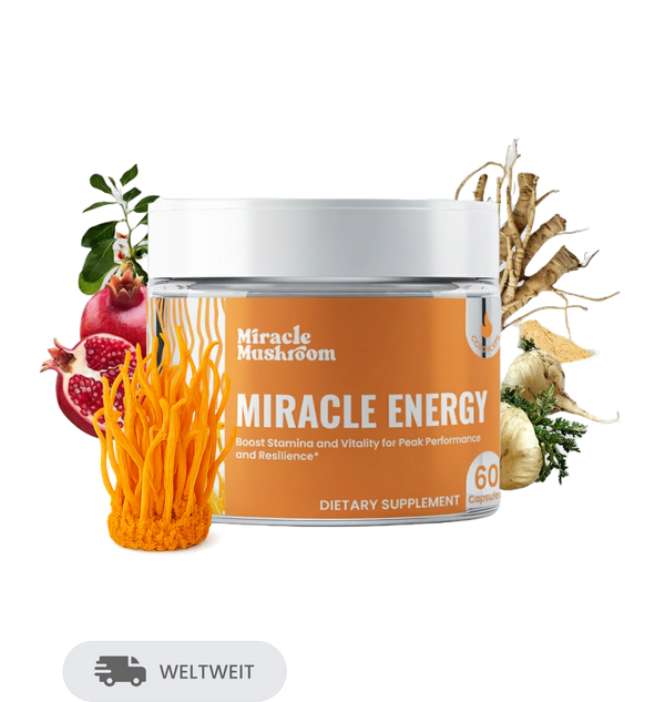 Miracle Energy (Cordyceps für Energie)