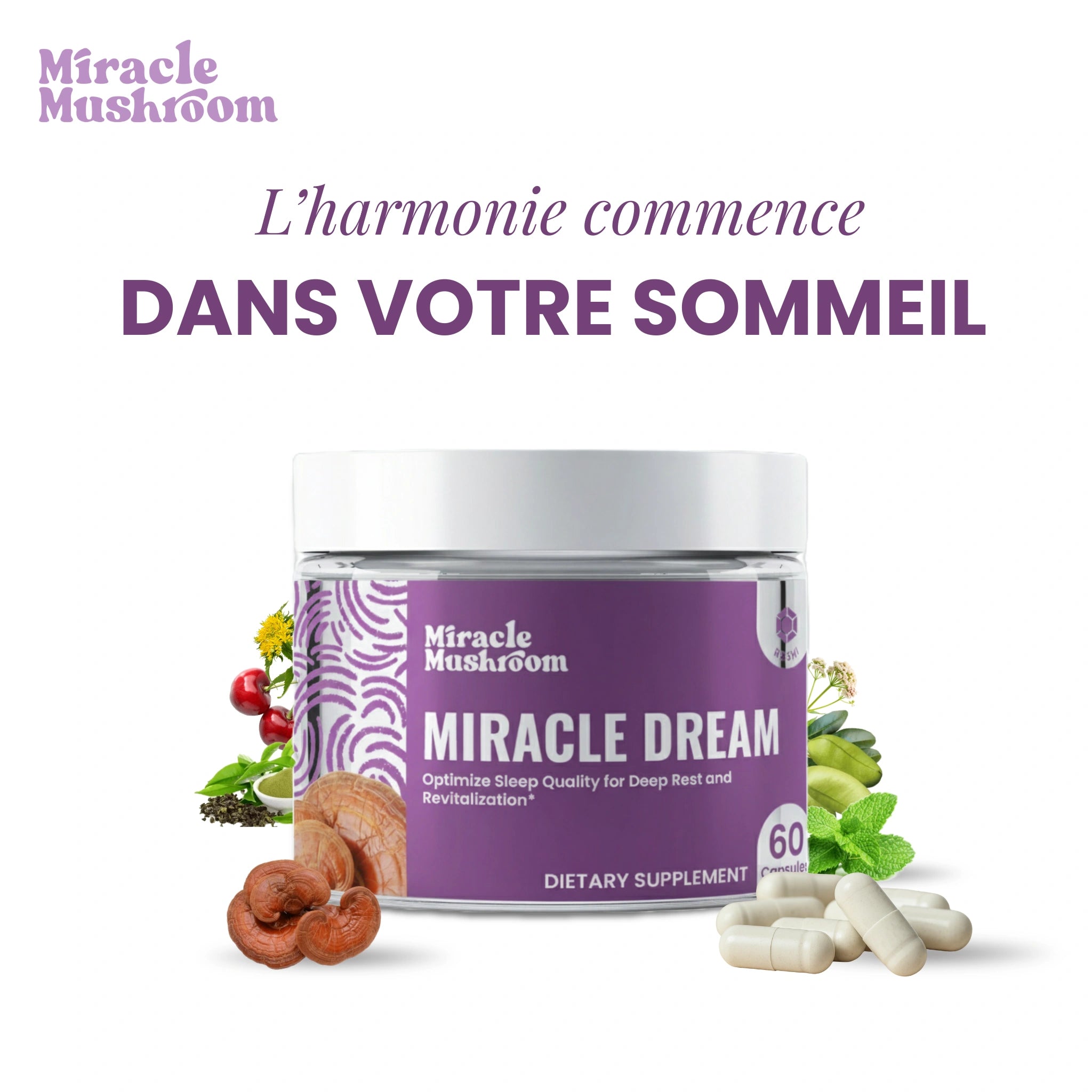 Miracle Dream (Reishi pour un sommeil profond et apaisé)