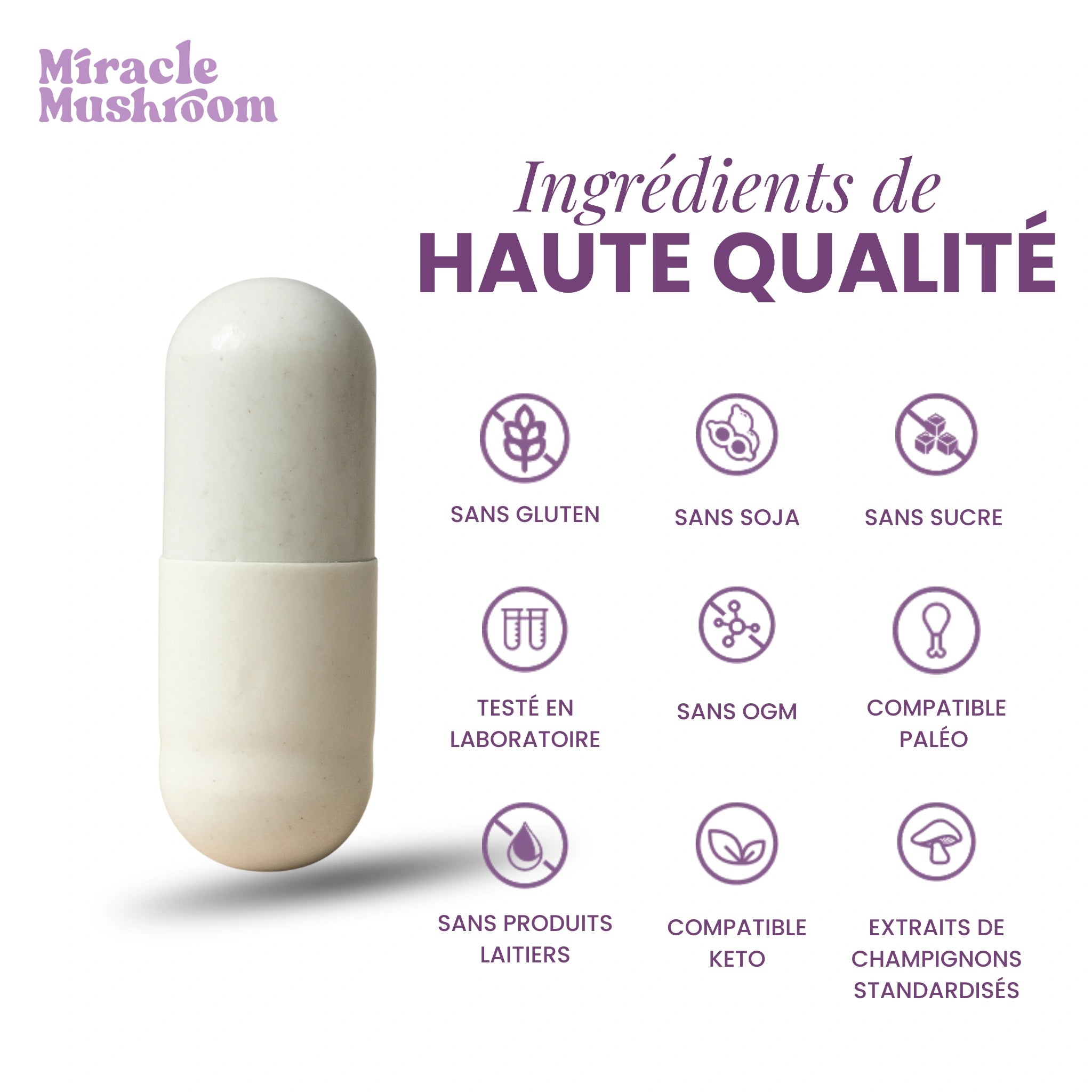 Miracle Dream (Reishi pour un sommeil profond et apaisé)