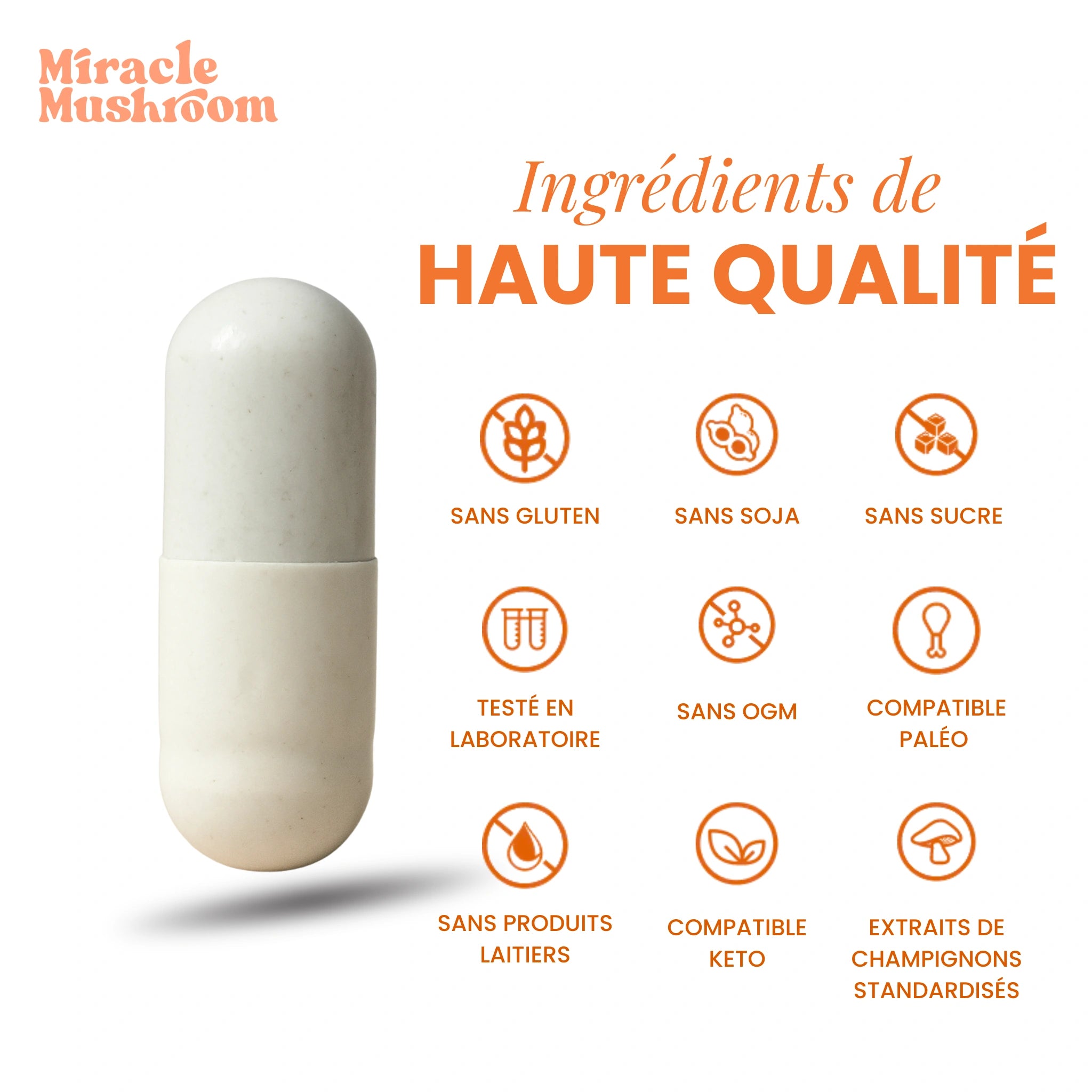 Miracle Energy (Cordyceps pour l’énergie)