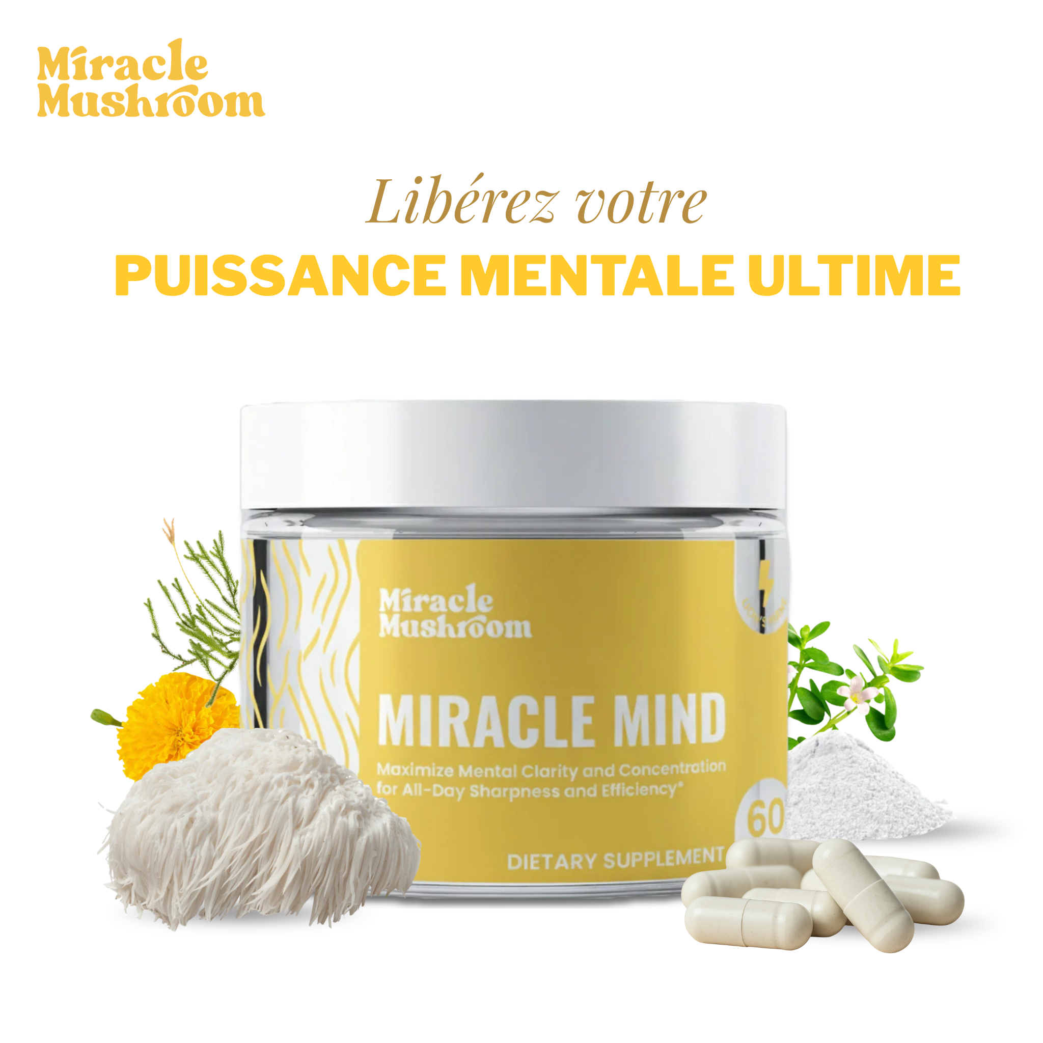 Miracle Mind (Crinière de Lion pour le soutien cognitif)