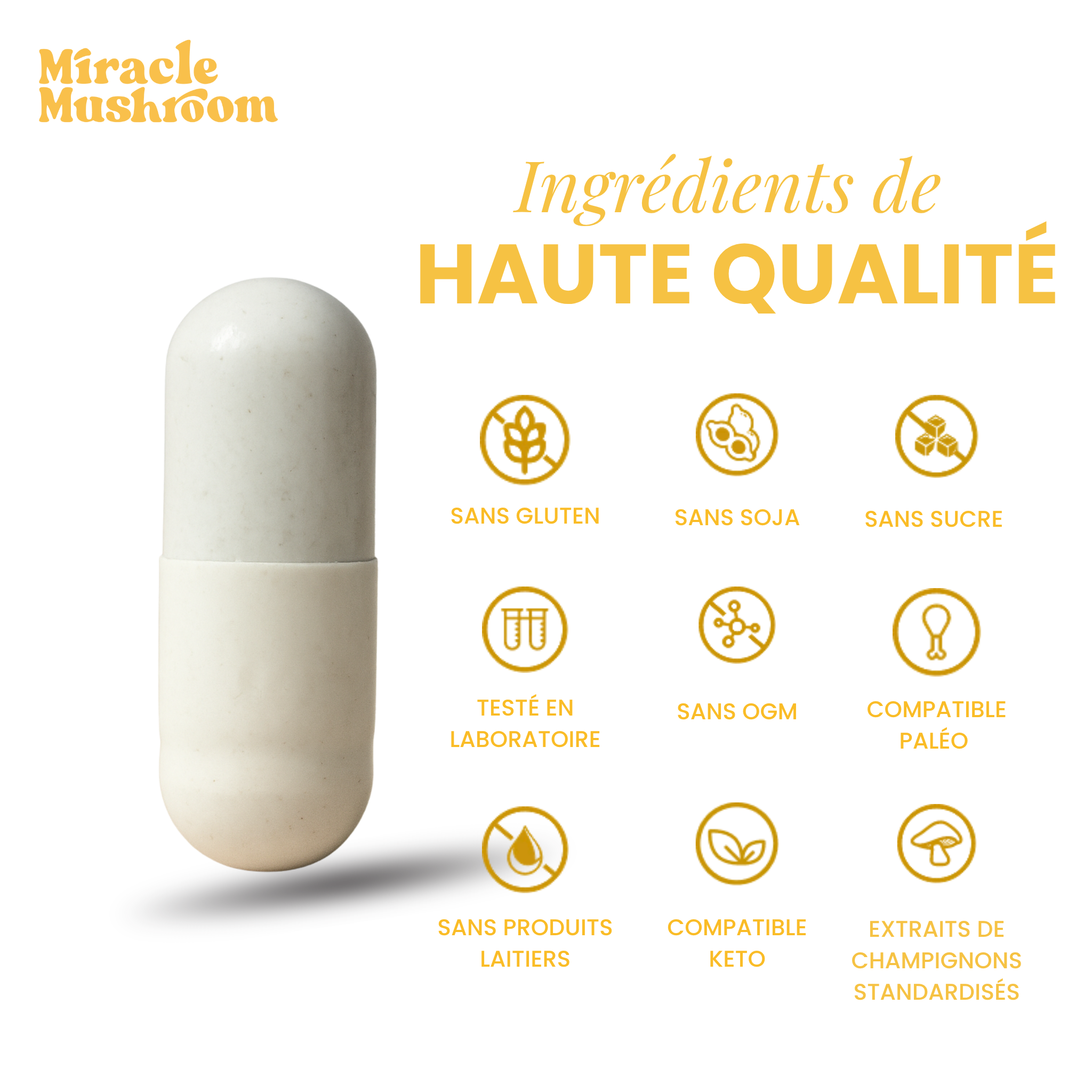 Miracle Mind (Crinière de Lion pour le soutien cognitif)