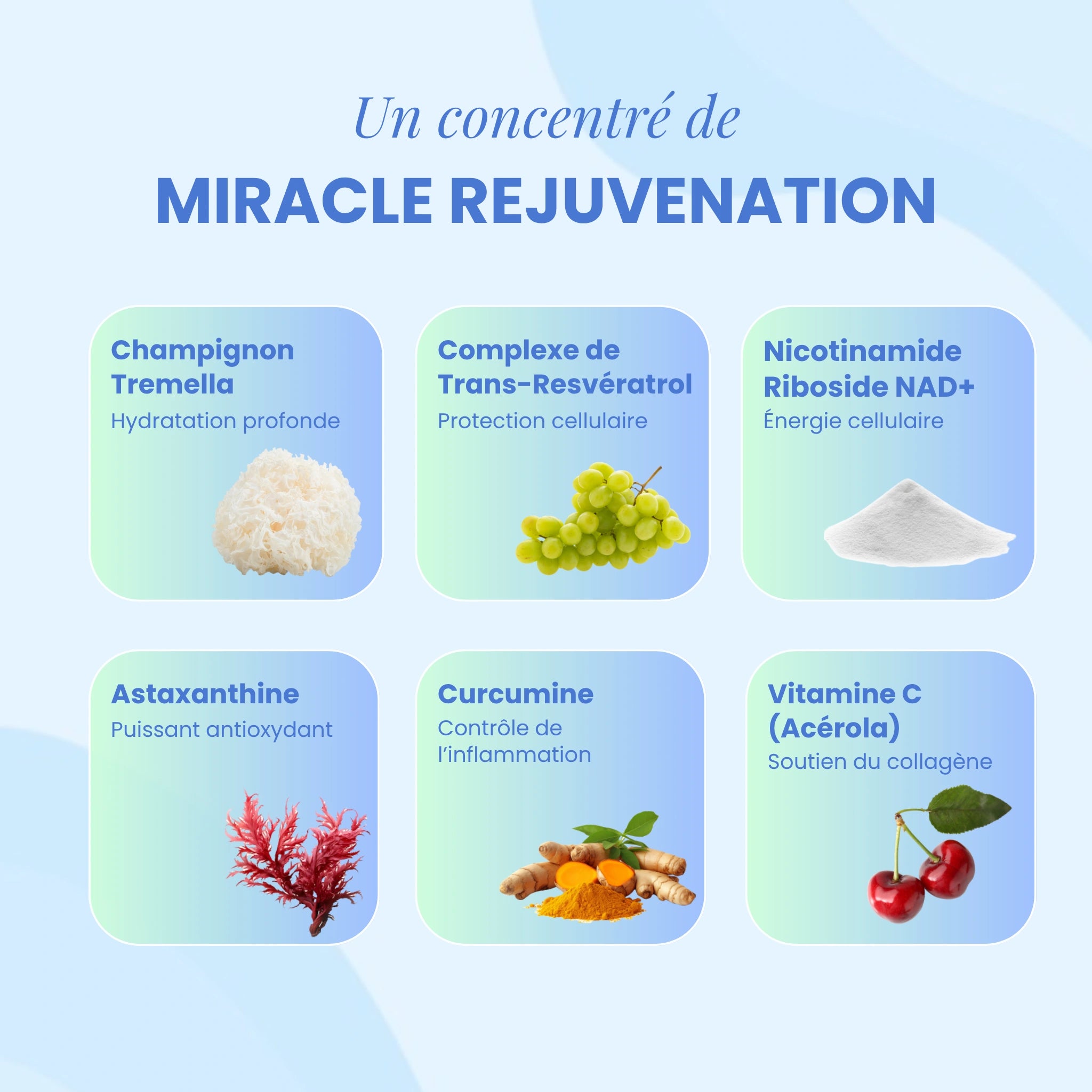 Miracle Rejuvenation (Tremella pour l’hydratation de la peau)