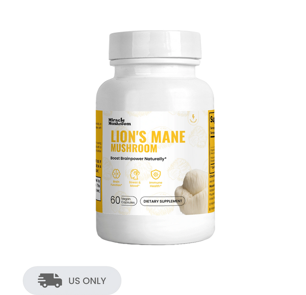 Lion's Mane Mushroom (Boost focus)