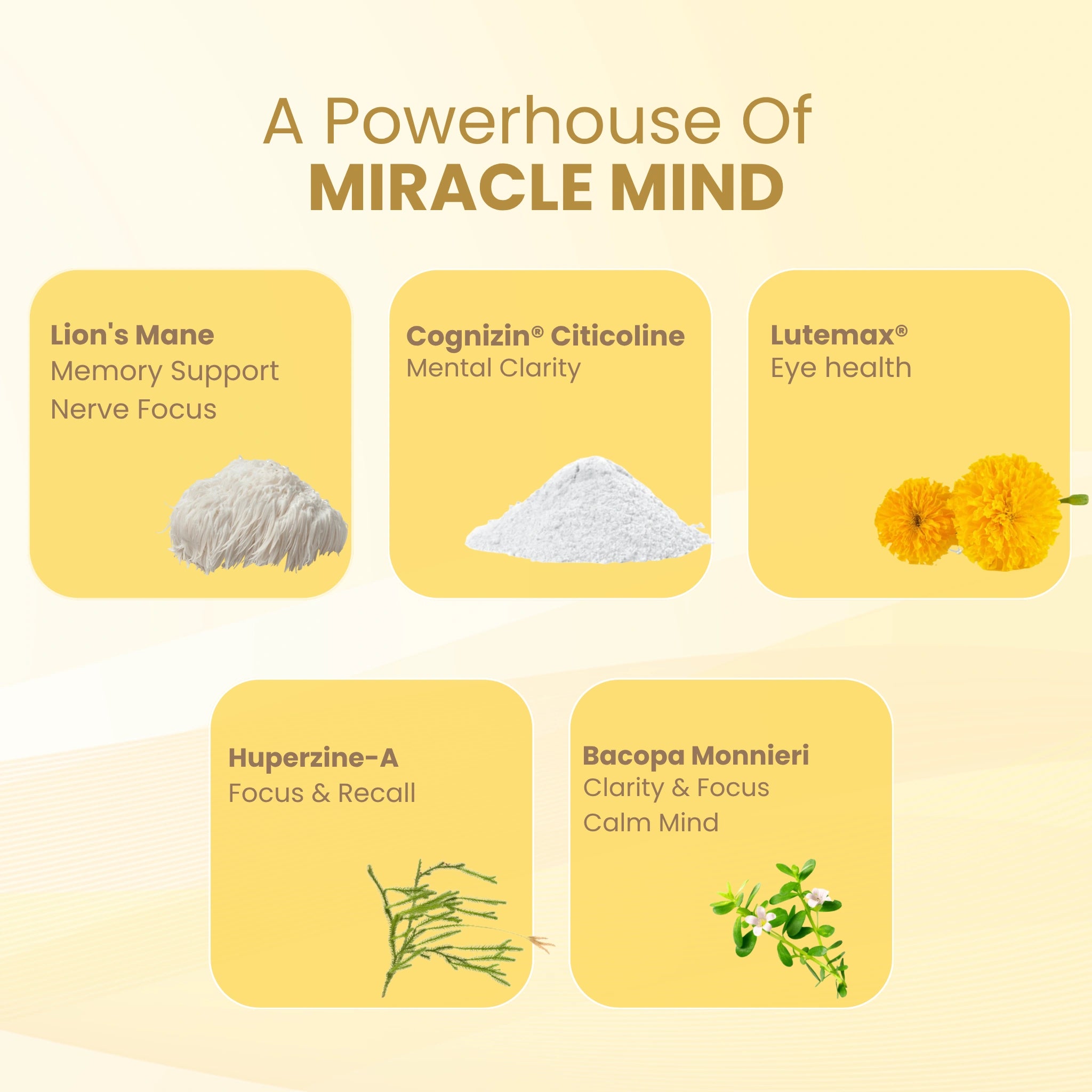 Miracle Mind (Lion’s Mane for Clarity & Focus)