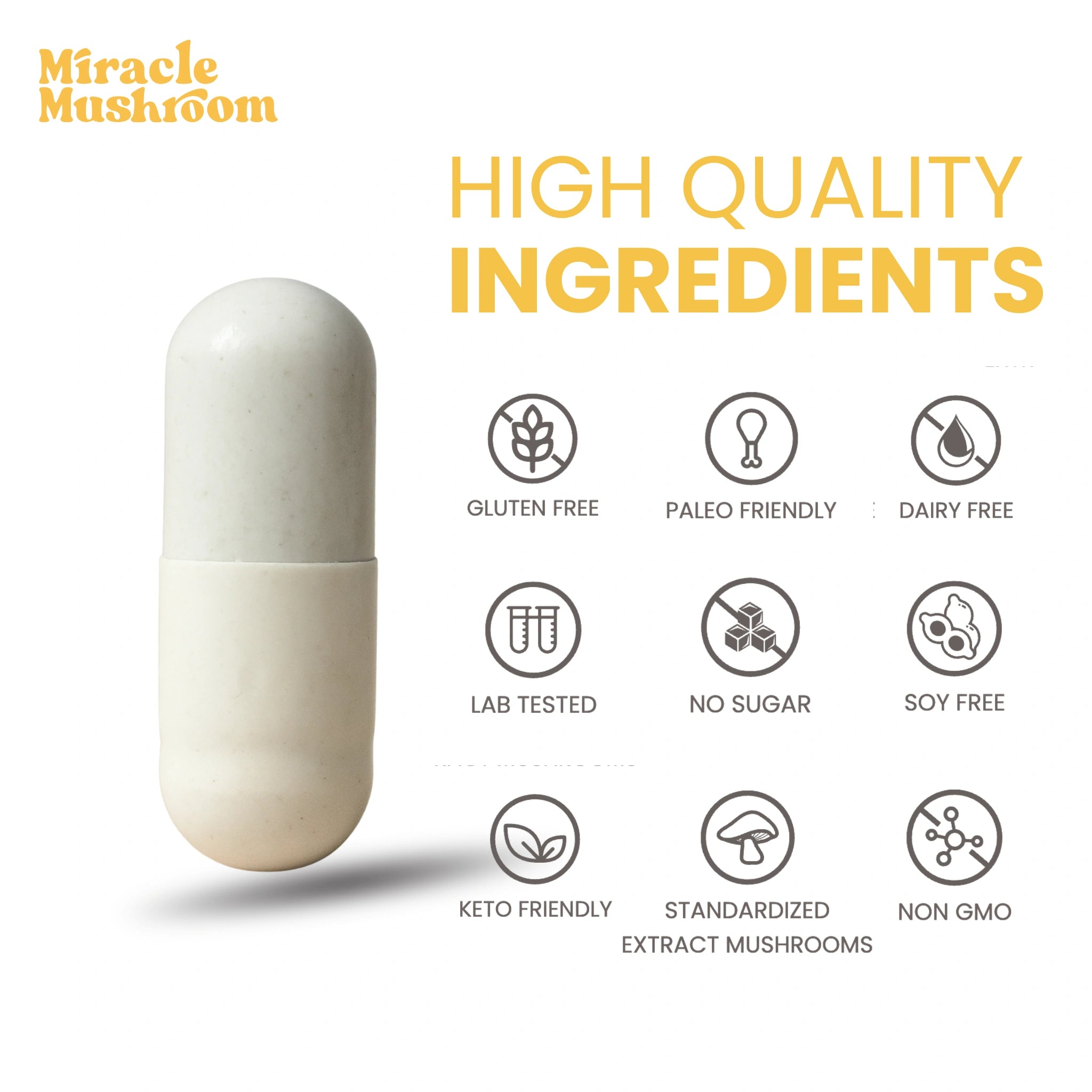 Miracle Mind (Lion’s Mane for Clarity & Focus)