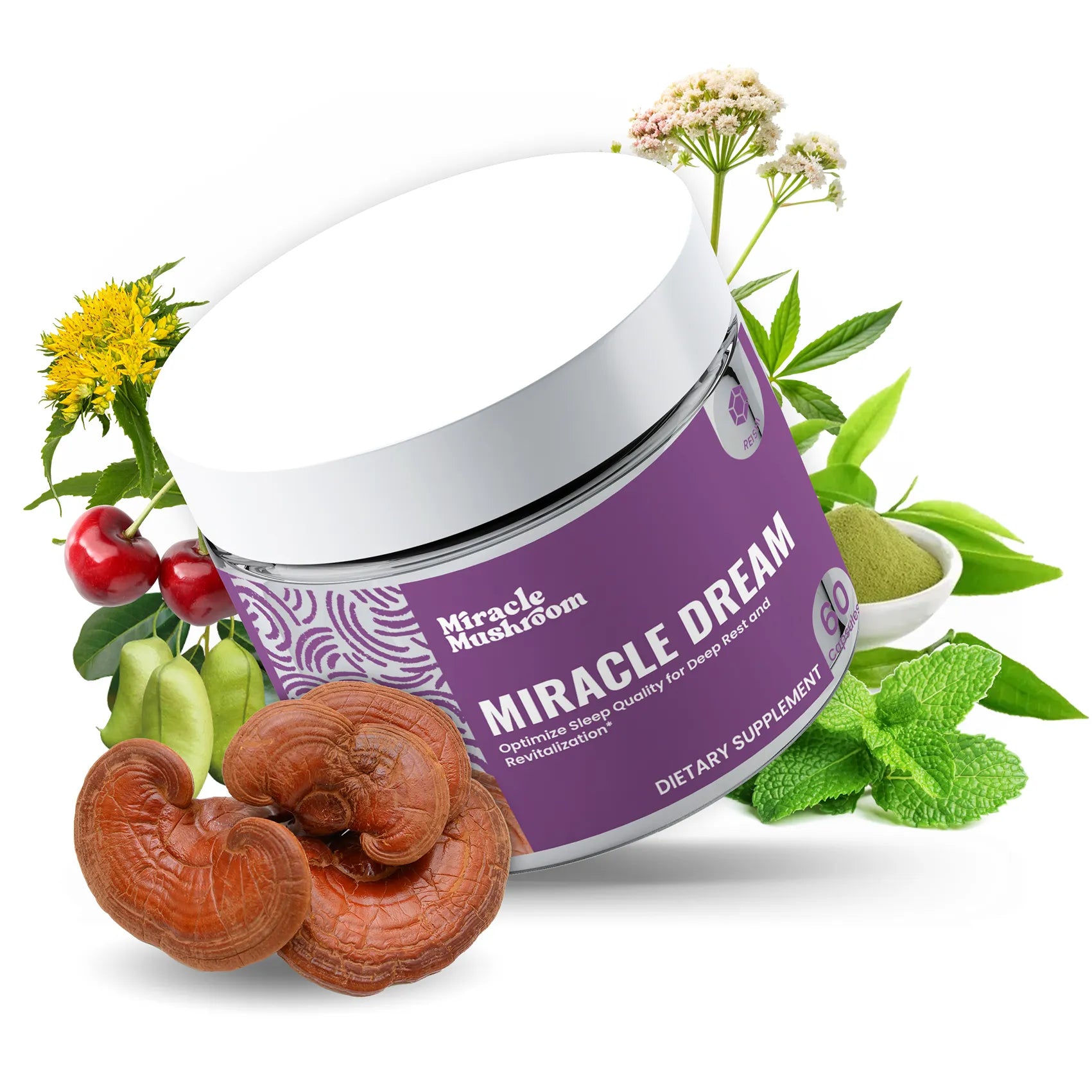 Miracle Dream (Reishi for Sleep quality) - Old
