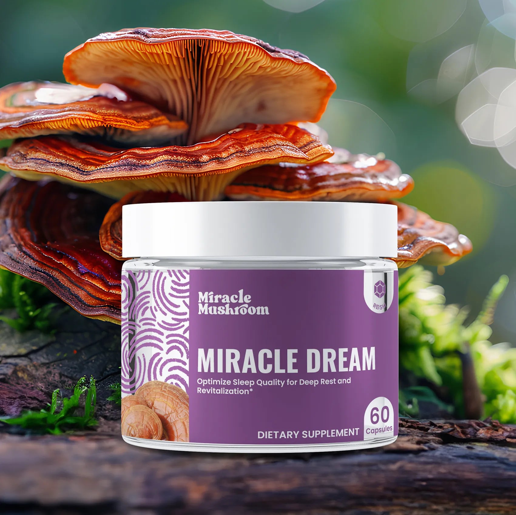 Miracle Dream