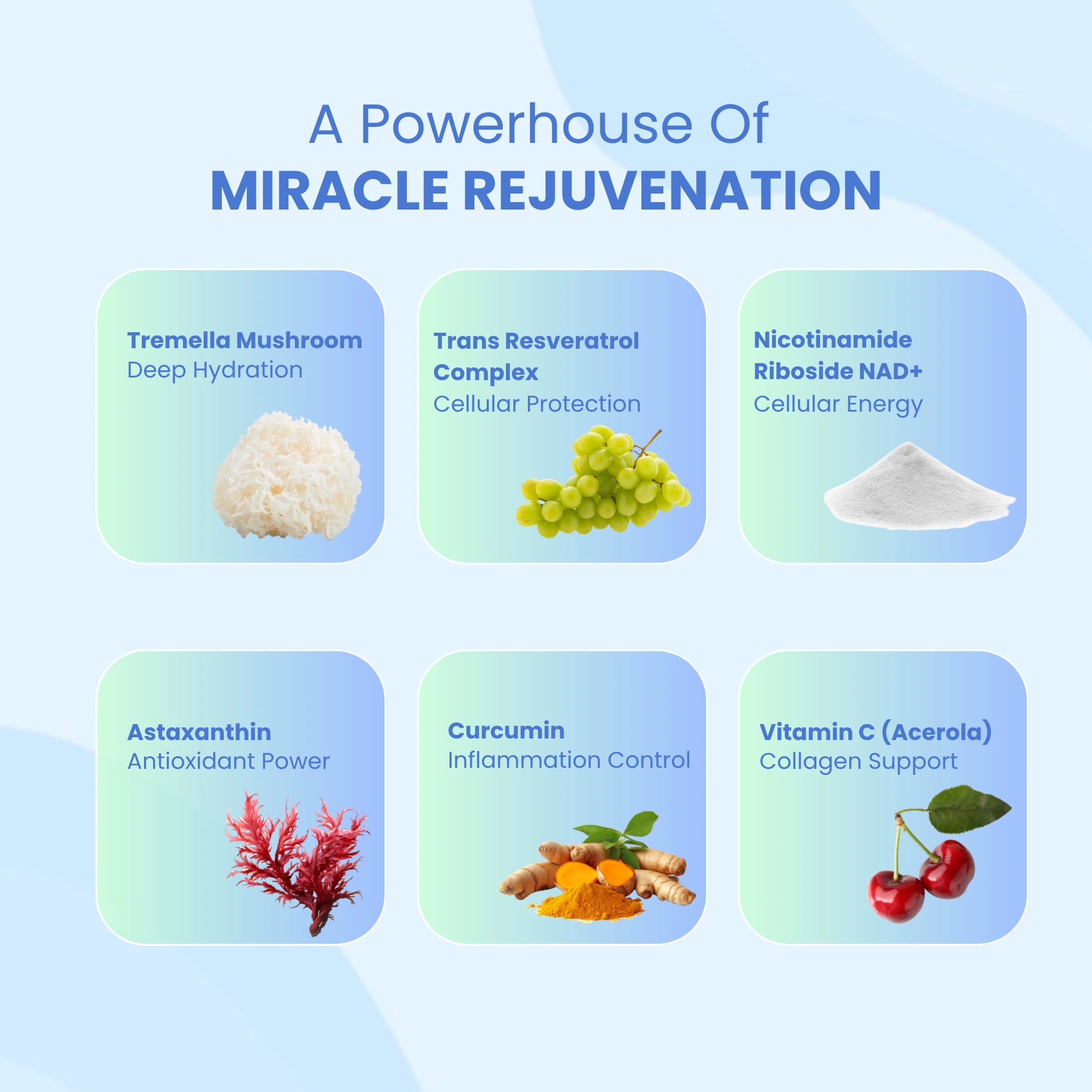 Miracle Rejuvenation (Tremella for Skin Hydration)