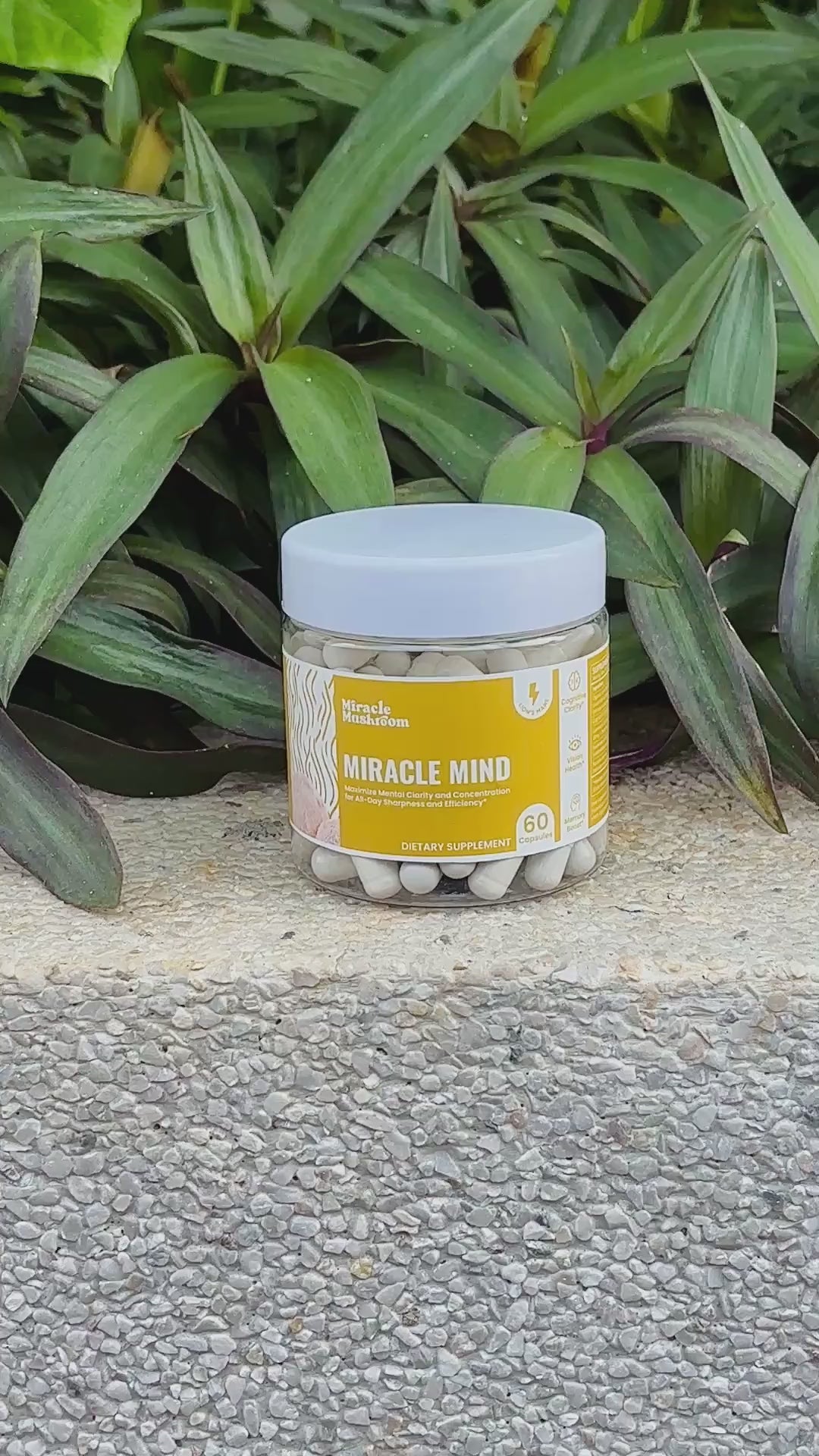 Miracle Mind (Lion’s Mane für kognitive Unterstützung)